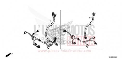 CORDON AUXILIAIRE GL1800L de 2020